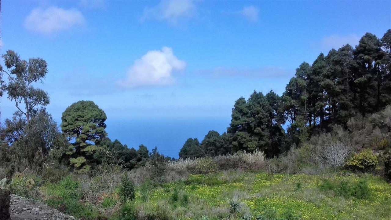 Monte Frio De Tenerife La Guancha Exterior photo